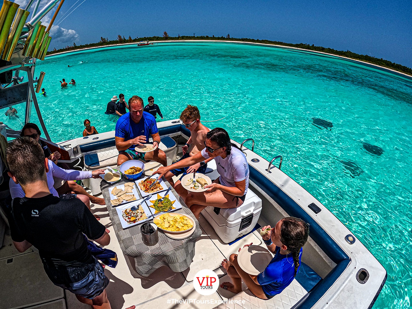 VIP Tours Cozumel – Professional crew working for the best vacation ...
