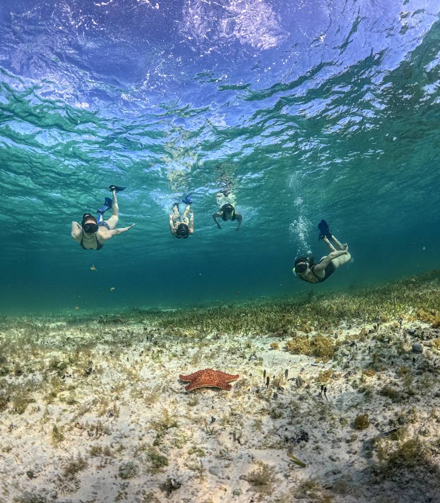 Snorkeling